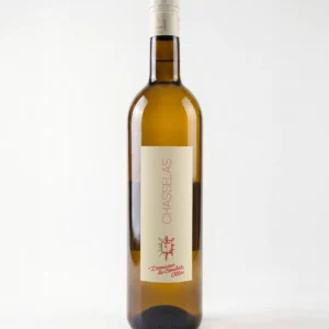 Chasselas-Domaine la Combaz - Ollon - Suisse